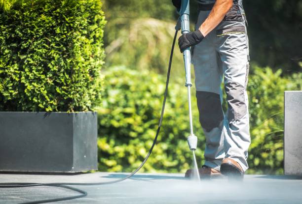 Best Animal Enclosure Cleaning  in Bethel Island, CA