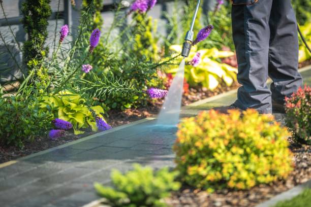 Best Parking Lot and Garage Cleaning  in Bethel Island, CA