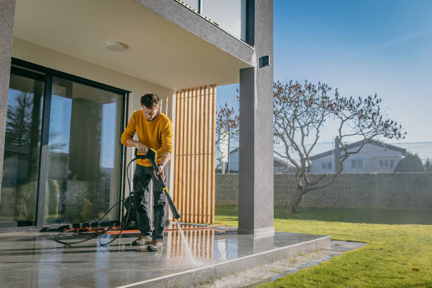 Best Soft Washing  in Bethel Island, CA